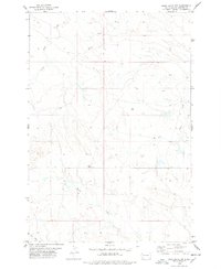 Download a high-resolution, GPS-compatible USGS topo map for Bams Butte NW, SD (1978 edition)