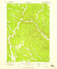 Download a high-resolution, GPS-compatible USGS topo map for Crows Nest Peak, SD (1958 edition)