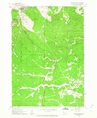 Download a high-resolution, GPS-compatible USGS topo map for Deadwood South, SD (1963 edition)