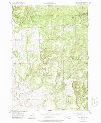 Download a high-resolution, GPS-compatible USGS topo map for Jewel Cave NW, SD (1988 edition)