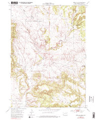 preview thumbnail of historical topo map of Custer County, SD in 1954