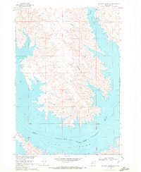 Download a high-resolution, GPS-compatible USGS topo map for No Heart Creek SE, SD (1972 edition)