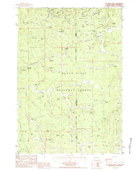 Download a high-resolution, GPS-compatible USGS topo map for Old Baldy Mtn, SD (1984 edition)