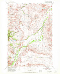Download a high-resolution, GPS-compatible USGS topo map for Saint Onge SE, SD (1972 edition)