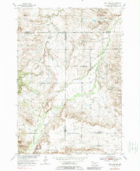 Download a high-resolution, GPS-compatible USGS topo map for Saint Onge SE, SD (1989 edition)