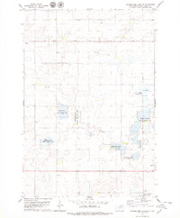 Download a high-resolution, GPS-compatible USGS topo map for Schumacher Lake SW, SD (1979 edition)