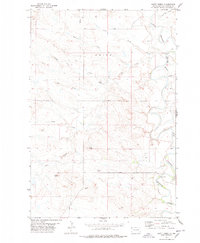 preview thumbnail of historical topo map of Harding County, SD in 1977