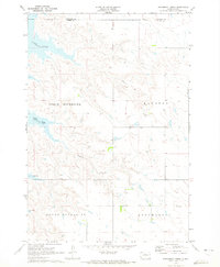 Download a high-resolution, GPS-compatible USGS topo map for Steamboat Creek, SD (1972 edition)