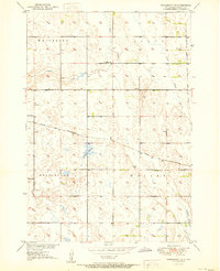 Download a high-resolution, GPS-compatible USGS topo map for Wessington NE, SD (1950 edition)
