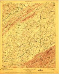 1904 Map of Greeneville, TN, 1913 Print