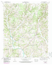 Download a high-resolution, GPS-compatible USGS topo map for Appleton, TN (1989 edition)