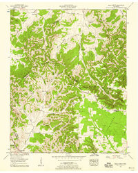 preview thumbnail of historical topo map of Coffee County, TN in 1953