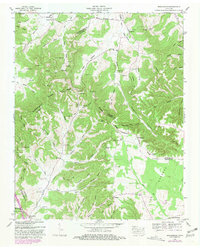 Download a high-resolution, GPS-compatible USGS topo map for Beechgrove, TN (1981 edition)