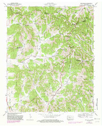 Download a high-resolution, GPS-compatible USGS topo map for Belleville, TN (1982 edition)