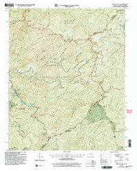 Download a high-resolution, GPS-compatible USGS topo map for Big Junction, TN (2004 edition)