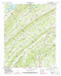 Download a high-resolution, GPS-compatible USGS topo map for Big Ridge Park, TN (1988 edition)