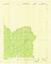 Download a high-resolution, GPS-compatible USGS topo map for Cane Hollow, TN (1936 edition)