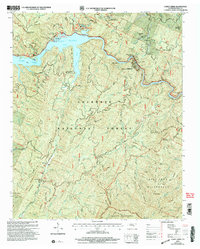 Download a high-resolution, GPS-compatible USGS topo map for Caney Creek, TN (2004 edition)