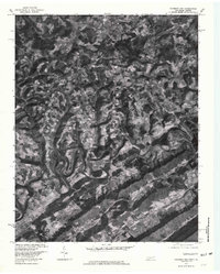 Download a high-resolution, GPS-compatible USGS topo map for Colemen Gap, TN (1981 edition)