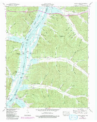 Download a high-resolution, GPS-compatible USGS topo map for Daniels Landing, TN (1992 edition)
