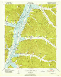 Download a high-resolution, GPS-compatible USGS topo map for Daniels Landing, TN (1953 edition)
