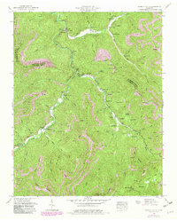 Download a high-resolution, GPS-compatible USGS topo map for Duncan Flats, TN (1980 edition)