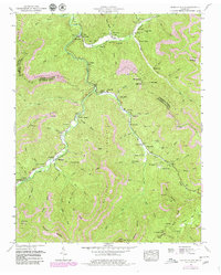 Download a high-resolution, GPS-compatible USGS topo map for Duncan Flats, TN (1980 edition)