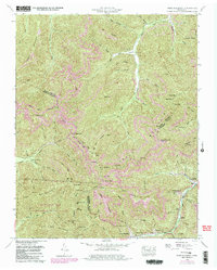 Download a high-resolution, GPS-compatible USGS topo map for Fork Mountain, TN (1980 edition)