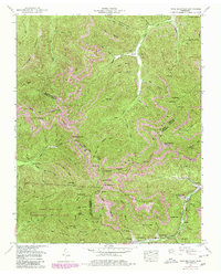 Download a high-resolution, GPS-compatible USGS topo map for Fork Mountain, TN (1980 edition)