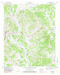 Download a high-resolution, GPS-compatible USGS topo map for Frankewing, TN (1982 edition)