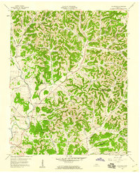 Download a high-resolution, GPS-compatible USGS topo map for Hillsdale, TN (1960 edition)