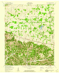 Download a high-resolution, GPS-compatible USGS topo map for Indian Mound, TN (1960 edition)