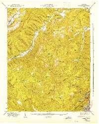 Download a high-resolution, GPS-compatible USGS topo map for Ivydell, TN (1947 edition)