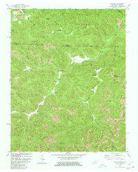 preview thumbnail of historical topo map of Scott County, TN in 1980