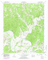 Download a high-resolution, GPS-compatible USGS topo map for Littlelot, TN (1980 edition)