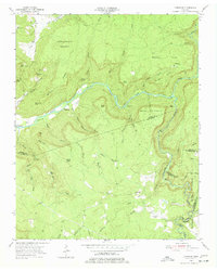 Download a high-resolution, GPS-compatible USGS topo map for Lonewood, TN (1977 edition)