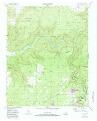 Download a high-resolution, GPS-compatible USGS topo map for Lonewood, TN (1984 edition)