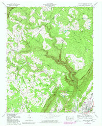 Download a high-resolution, GPS-compatible USGS topo map for Morgan Springs, TN (1980 edition)