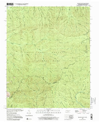 Download a high-resolution, GPS-compatible USGS topo map for Mount Guyot, TN (2001 edition)