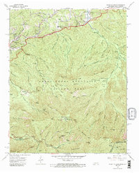 preview thumbnail of historical topo map of Sevier County, TN in 1964