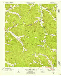 Download a high-resolution, GPS-compatible USGS topo map for Negro Hollow, TN (1954 edition)