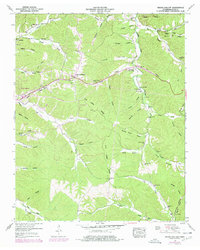 Download a high-resolution, GPS-compatible USGS topo map for Negro Hollow, TN (1977 edition)