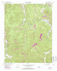 preview thumbnail of historical topo map of Scott County, TN in 1954