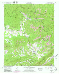 Download a high-resolution, GPS-compatible USGS topo map for Petros, TN (1980 edition)