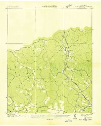 preview thumbnail of historical topo map of Morgan County, TN in 1935