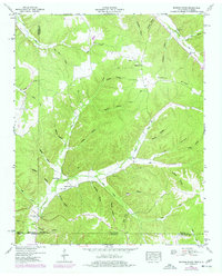 Download a high-resolution, GPS-compatible USGS topo map for Ransom Stand, TN (1977 edition)