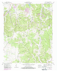 Download a high-resolution, GPS-compatible USGS topo map for Sandy Hook, TN (1987 edition)