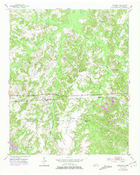 Download a high-resolution, GPS-compatible USGS topo map for Saulsbury, TN (1981 edition)