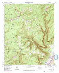 Download a high-resolution, GPS-compatible USGS topo map for Savage Point, TN (1991 edition)