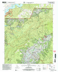 Download a high-resolution, GPS-compatible USGS topo map for Shady Valley, TN (2004 edition)